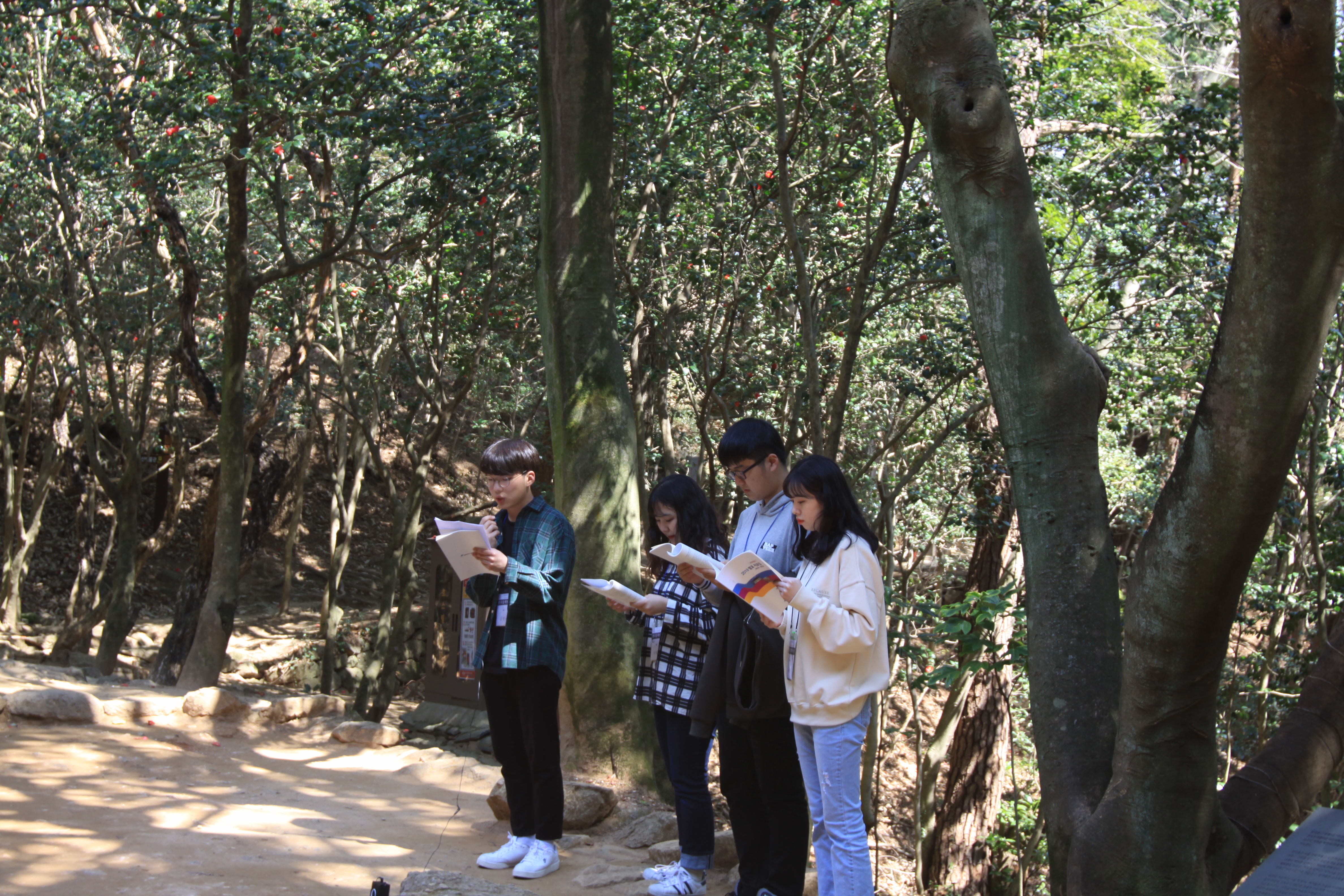 19-6..............jpg 이미지